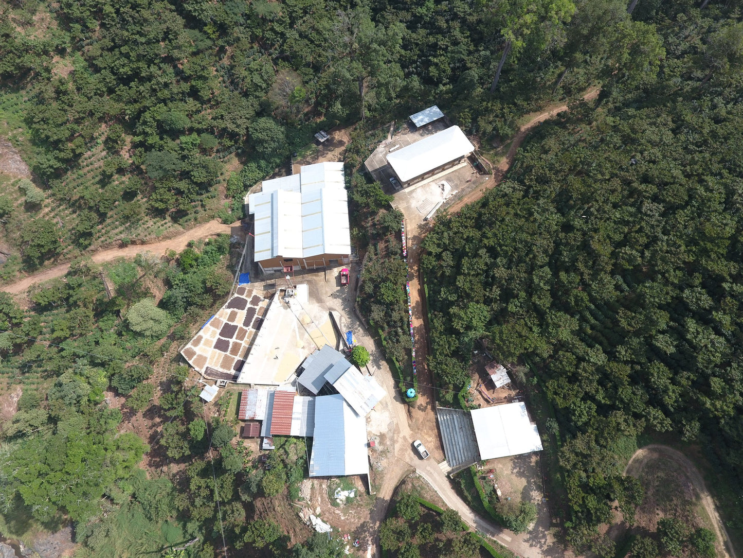 Finca Nuevo Mexico - Chocolate - Washed