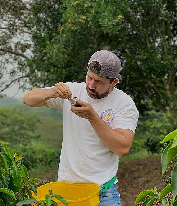 Inoculated Carbonic Honey Gesha - Edwin Noreña - Campo Hermoso - Colombia