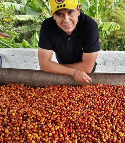 Catiope Spring Washed Co-Ferment - Elkin Guzman - El Mirador