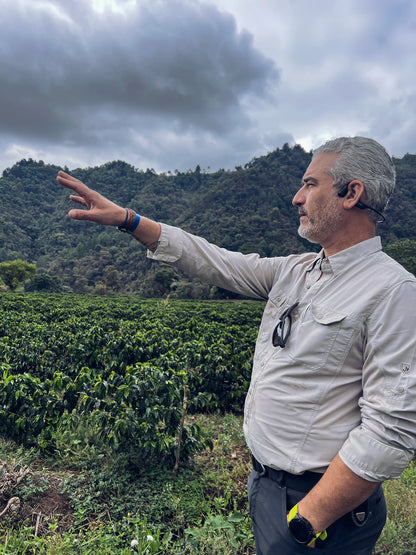 Solaris Maracaturra - Guatemala - Finca El Socorro - Juan Diego de la Cerda